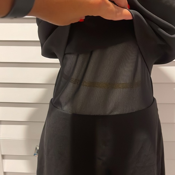 Express Black Cocktail in EUC with mesh fabric. - Picture 2 of 7